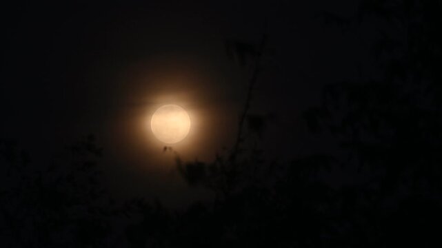 The February full moon, known as the "Snow Moon," shines brightly and appears full. This is the second full moon of 2026 and is also referred to as the Storm-Moon or Hungry Moon.