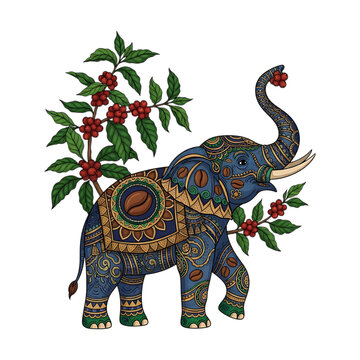 Ornate Blue Elephant with Coffee Bean Mandala Patterns and Botanical Coffee Plant Illustration Vector