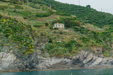 Fototapeta premium A lovely house rests on a steep cliff, surrounded by vibrant greenery and stunning ocean views