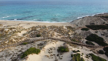 Beach Scene Imagery. Golden Coast With Winding Paths. Scenic Aerial View Of Sandy Shoreline