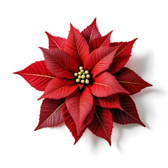 Glittery red poinsettia artificial flower, isolated on white