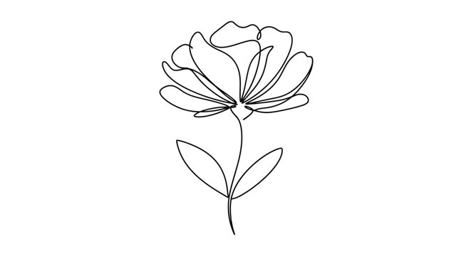 An elegant, continuous line art single flower drawing illustrated on a clean white background.
