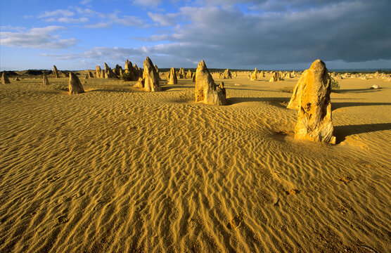 Golden light on the Pinnacles Desert in Western Australia.