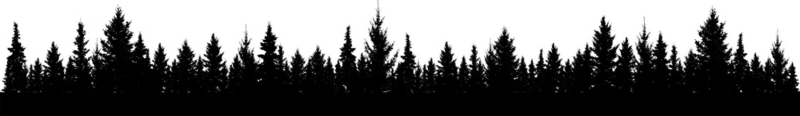 Forest fir trees silhouette. Coniferous spruce trees. Park of evergreen wood. Vector illustration. (Every tree isolated, separate from each other, free-standing)