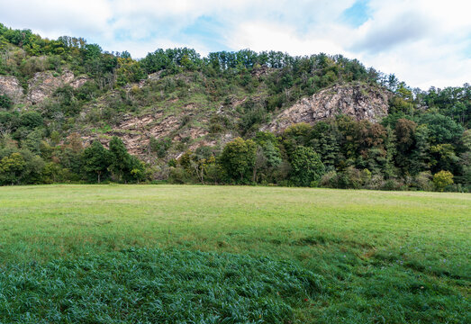 Meadow with partly rocky hill above in Thaytal national park in Austria near borders with Czech republic