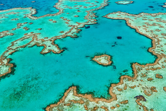 Aerial view of Heart Reef, Great Barrier Reef, Australia.