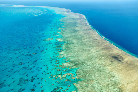 Aerial view of a vibrant coral reef system in clear blue ocean.