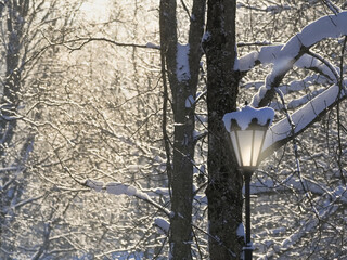 A street lamp is lit up in the snow park.