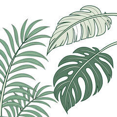 Spring palm leaf vector green plant, exotic nature set isolated on white background. Jungle illustration 2