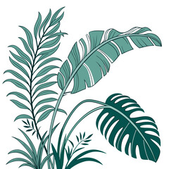 Spring palm leaf vector green plant, exotic nature set isolated on white background. Jungle illustration