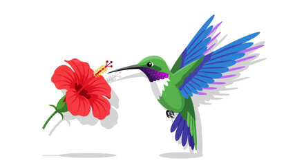 Vibrant hummingbird sipping nectar from a red hibiscus flower symbolizing nature s delicate beauty and renewal © Syam Artwork