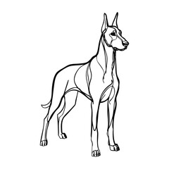 Dibujo con línea continua de un perro dóberman  © teracreonte
