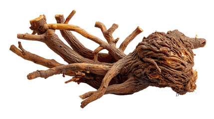 Fototapeta premium Woody Root: An intriguing and textured image presents the intricate detail of a woody root system, showcasing the raw beauty of natural structure and growth.