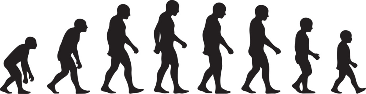 Evolution of Human Silhouettes from Primate to Modern Man