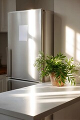 Modern kitchen scene with stainless steel fridge and potted plant in sunlight