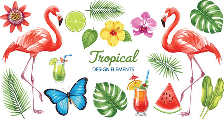 Tropical Design Elements Vector Set with Flamingo, Palm Leaves, Exotic Flowers, Butterfly, Watermelon, and Summer Cocktail Illustrations © MstMukta