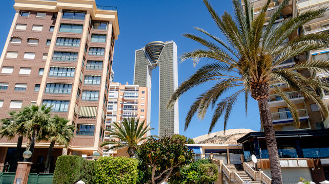 Intempo Sky Resort and palm trees in Benidorm