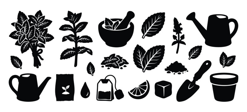 Herbal tea and gardening icons set with mint leaves mortar pestle and watering can vector