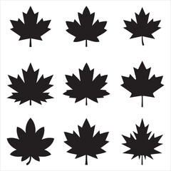 Canada Maple Leaf Clip Art