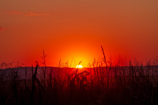 Dramatic red sunset over rural landscape near Macin, Tulcea, Romania