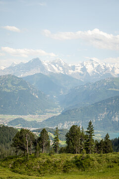 Scenic view of Lake Thun and Jungfrau in summer