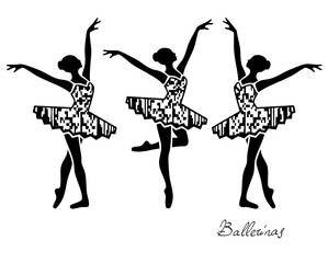 Ballet, ballerina, swan dance, pointe shoes, graceful dance © Anatoly Shapoval