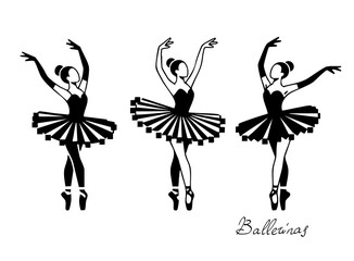 Ballet, ballerina, swan dance, pointe shoes, graceful dance © Anatoly Shapoval