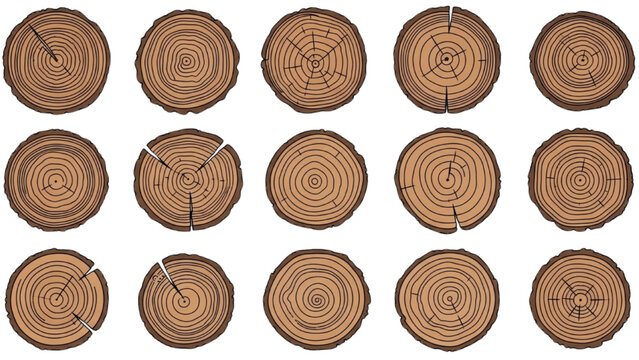 Set of wooden tree trunk cross-sections with various cut marks and rings, illustrations