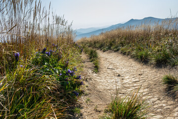 A path in the Bieszczady Mountains © KoshMara