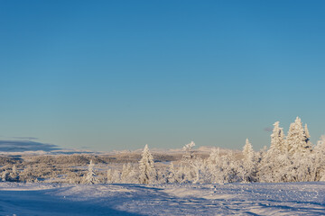 Winter in Norway © KoshMara