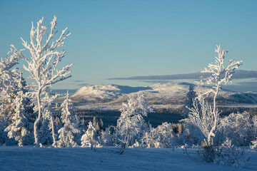 Frosty winter in the mountains, Norway © KoshMara
