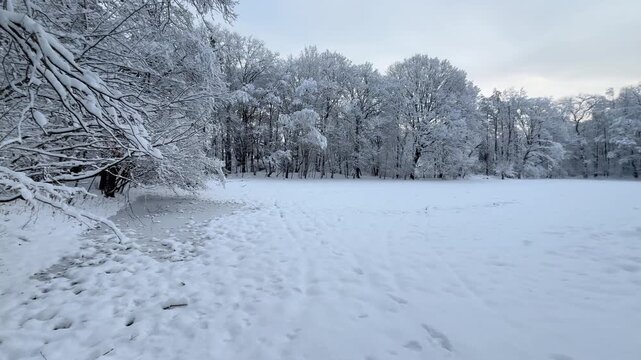 Winter landscape with snowy forest. Peaceful nature scene with snow covered trees and calm seasonal atmosphere.