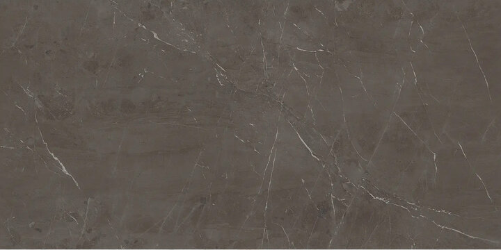 Polished gray marble. Real natural marble stone texture and surface background.