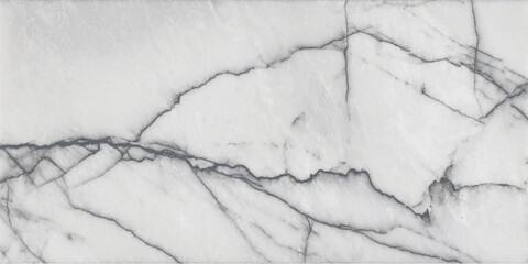 Polished gray marble. Real natural marble stone texture and surface background. © maria
