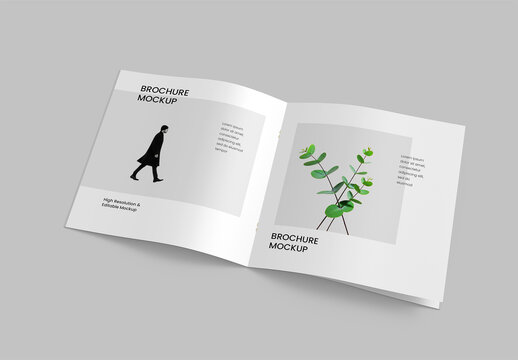 Isolated Square Brochure Mockup PSD