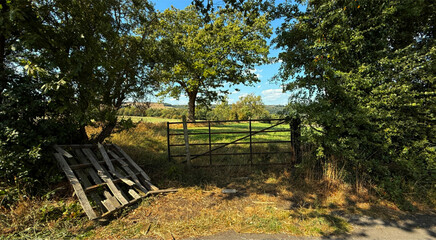 A rustic wooden gate leads into an open field surrounded by rich vegetation. The scene is illuminated by warm sunlight on a clear day in Wilsden, Yorkshire, UK
