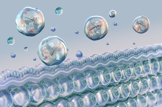 Exosomes released from cellular membrane into extracellular environment, nanoscopic lipid bilayer vesicles carrying RNA, proteins, molecular cargo. Biomolecular components, intercellular transport