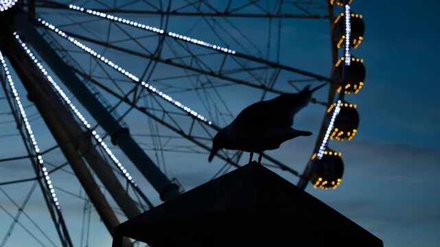 Silhouette of a seagull perched on a structure with a ferris wheel illuminated against the twilight sky