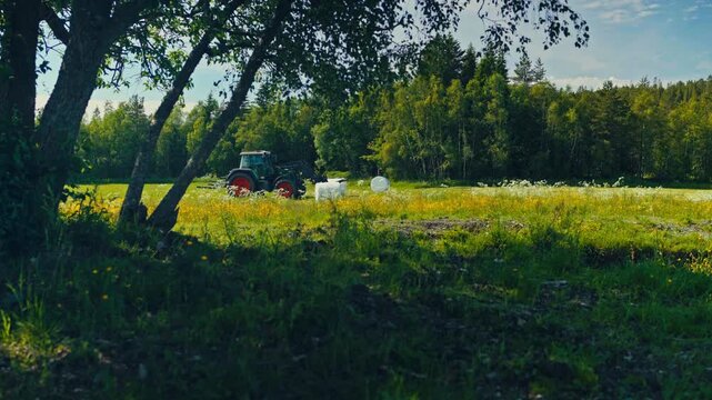 Farm Tractor Over Farmland With Hay Bale Rolls. Static Shot