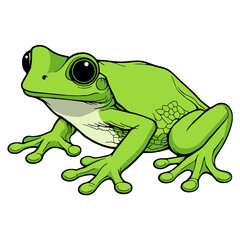 Fototapeta premium Green Tropical Tree Frog Sitting in Side View Clipart Isolated on Transparent Background