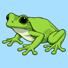 Obraz premium Green Tropical Tree Frog Sitting in Side View Vector Illustration