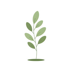 Obraz premium Organic Leaf Plant