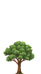 Obraz premium tree isolated on white background