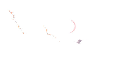 Crescent moon and delicate floral branch isolated on transparent background