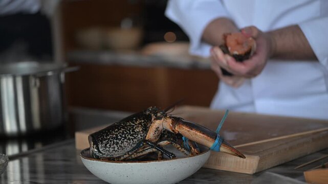 Fresh lobster being prepared by a chef in a professional kitchen, showcasing gourmet seafood preparation and fine dining culinary craftsmanship - animal cruelty concept