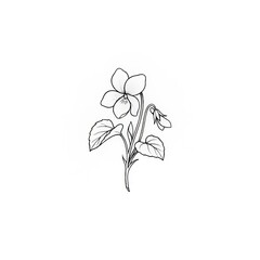 Hand drawn fine line Violet flower tattoo sketch isolated on white background. February birth month floral illustration.