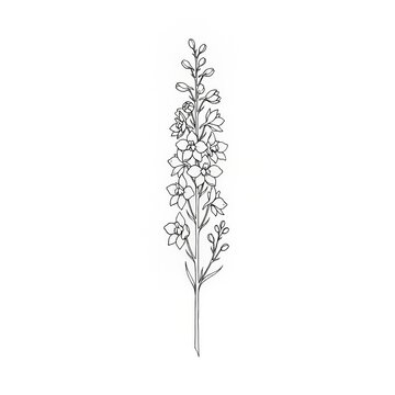 Hand drawn fine line Larkspur flower tattoo sketch isolated on white background. July birth month floral illustration.