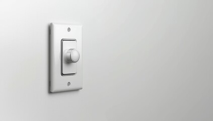 Wall-mounted light switch