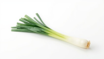 White Background with Japanese Leek