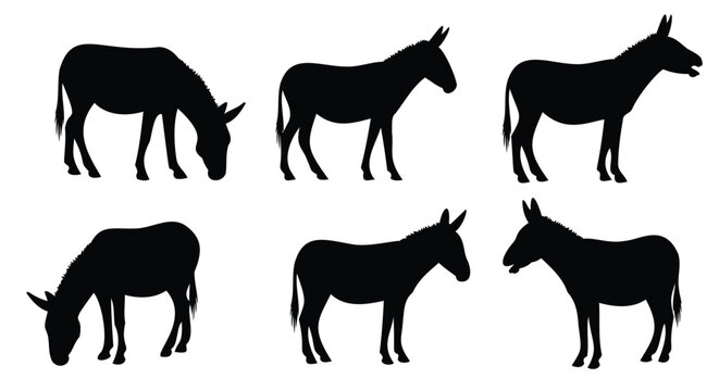 Collection of donkey silhouettes in various poses animal